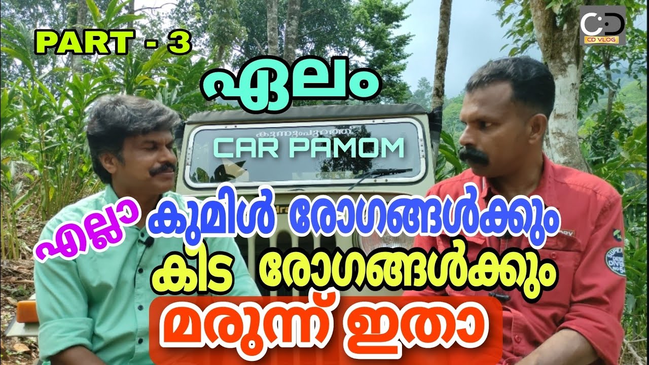 ഏലം എല്ലാ കുമിൾ രോഗങ്ങൾക്കും കീട രോഗങ്ങൾക്കും മരുന്ന് ഇതാ Remedy for all fungel disease of cardamm