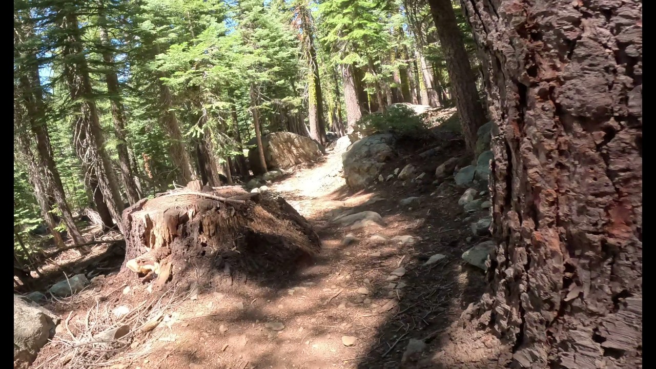 Mills Peak: I didn't see the bear '25