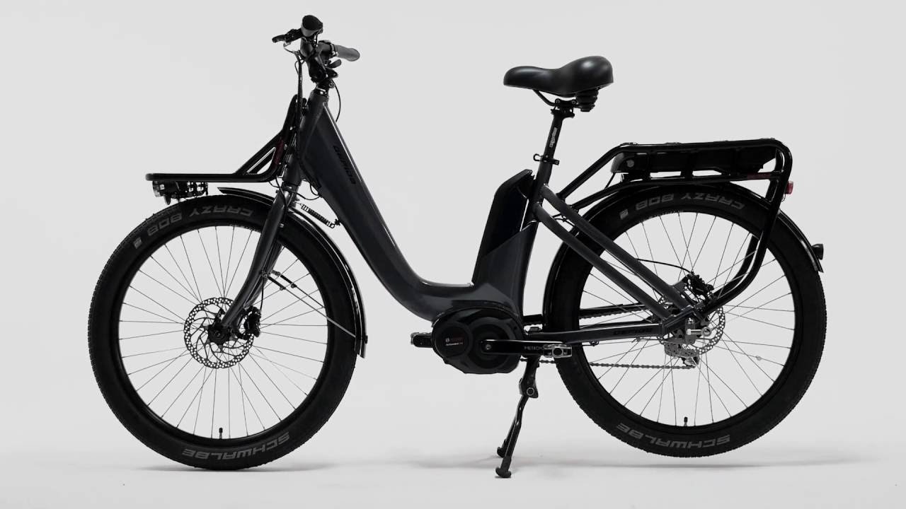 Gepida 2016 Cargo E-bike
