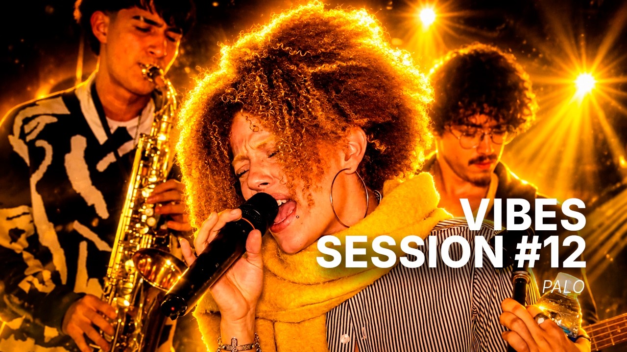 VIBES Acoustic Sessions #12 | PALO