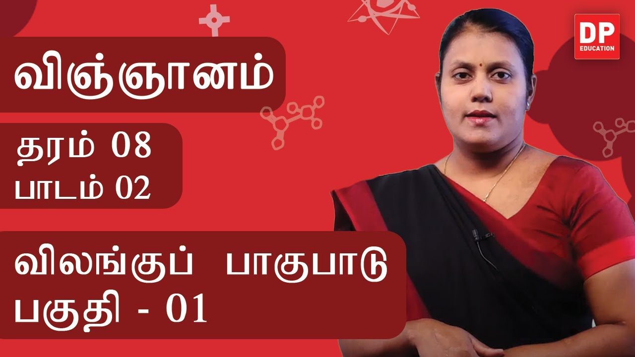 பாடம் 02  -  விலங்குப் பாகுபாடு (பகுதி 01 | தரம் 08 தமிழில் விஞ்ஞானம்