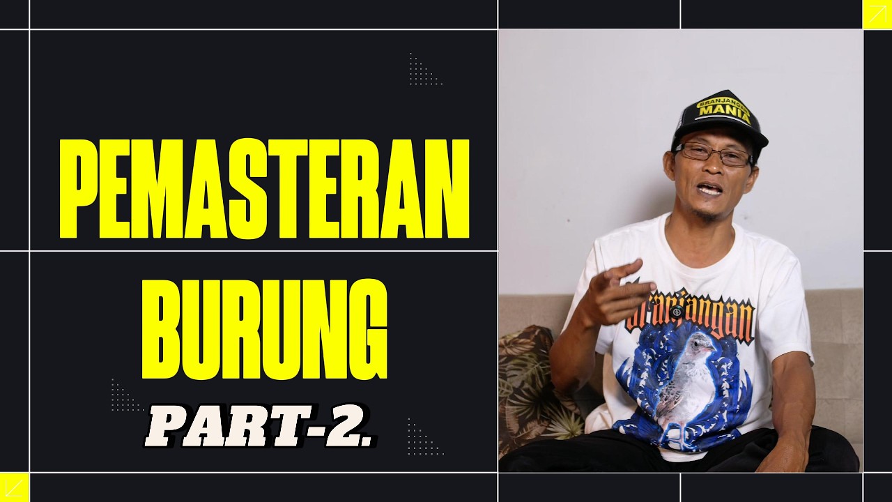 3 LANGKAH MUDAH PEMASTERAN BURUNG YANG EFEKTIF |  SALAH LANGKAH JADI PERCUMA!!!!