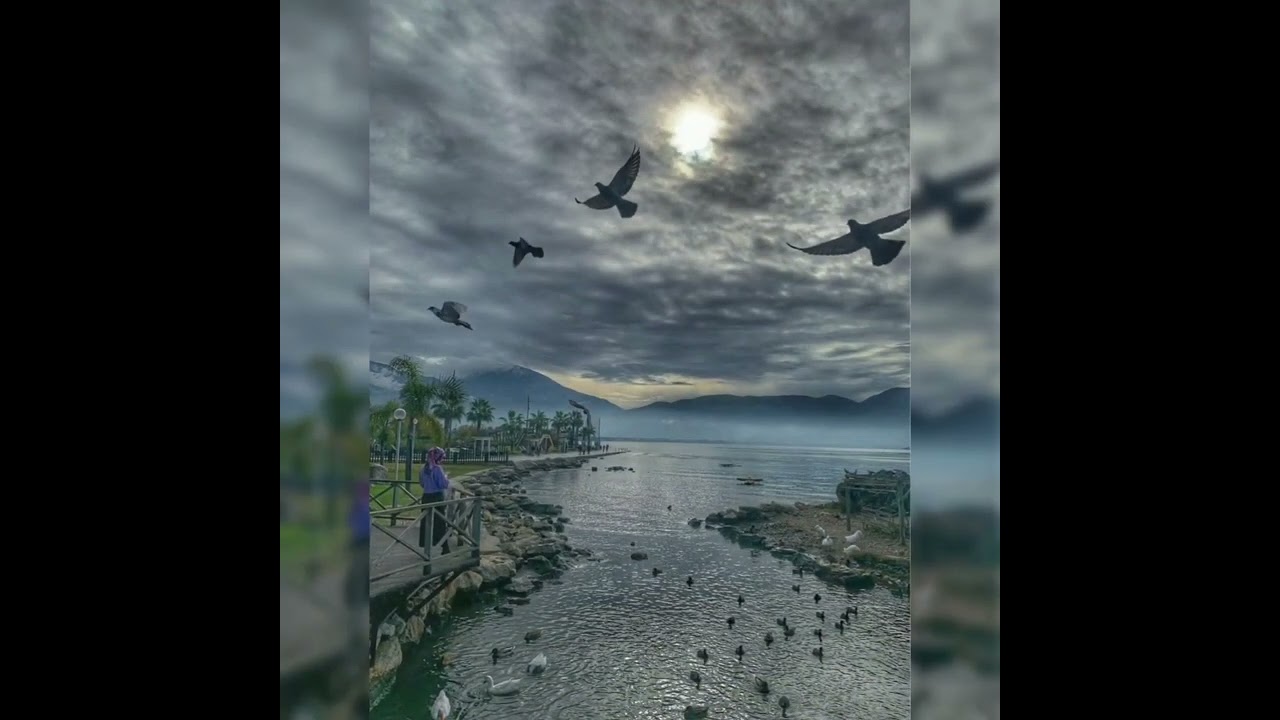 В конце января #january #enjoybeautiful #naturalbeauty #natureobserver #sea #landscapes #promenade 