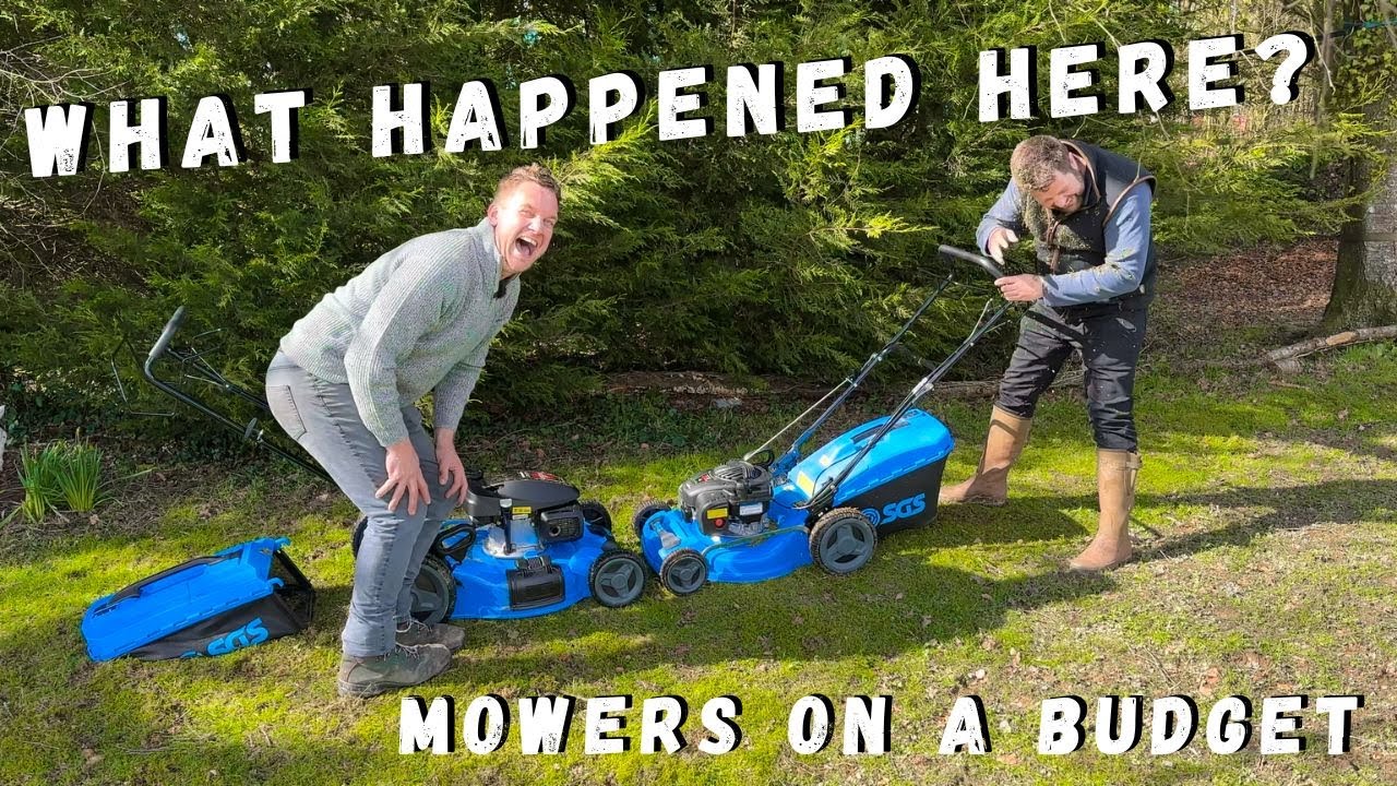 BUDGET LAWN MOWERS With HONDA and B&S Engines - Let's TEST and REVIEW