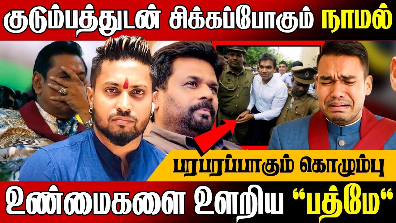🚨சிக்கப்போகும் நாமல் ராஜபக்ச !💥 உண்மைகளை உளறிய 