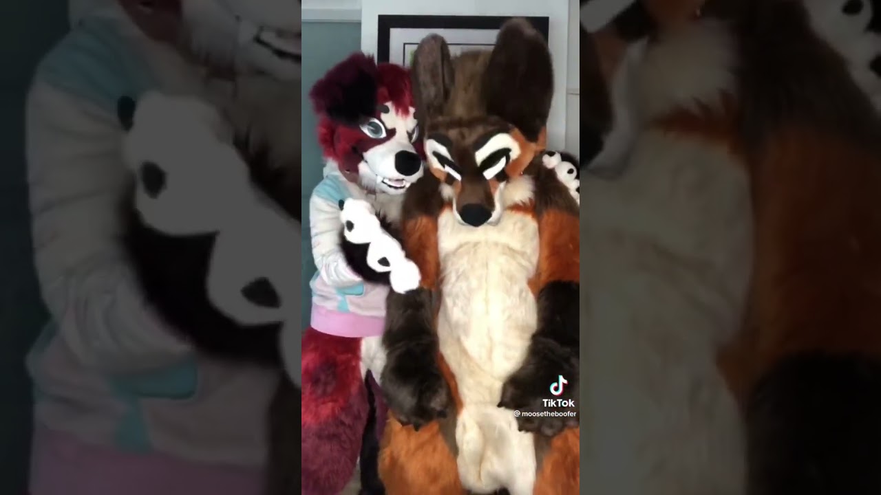 Furry Dance Time #furry #furries #furrydance #furrytrash #furrycringe #fursuit #fursuiter #foxfurry