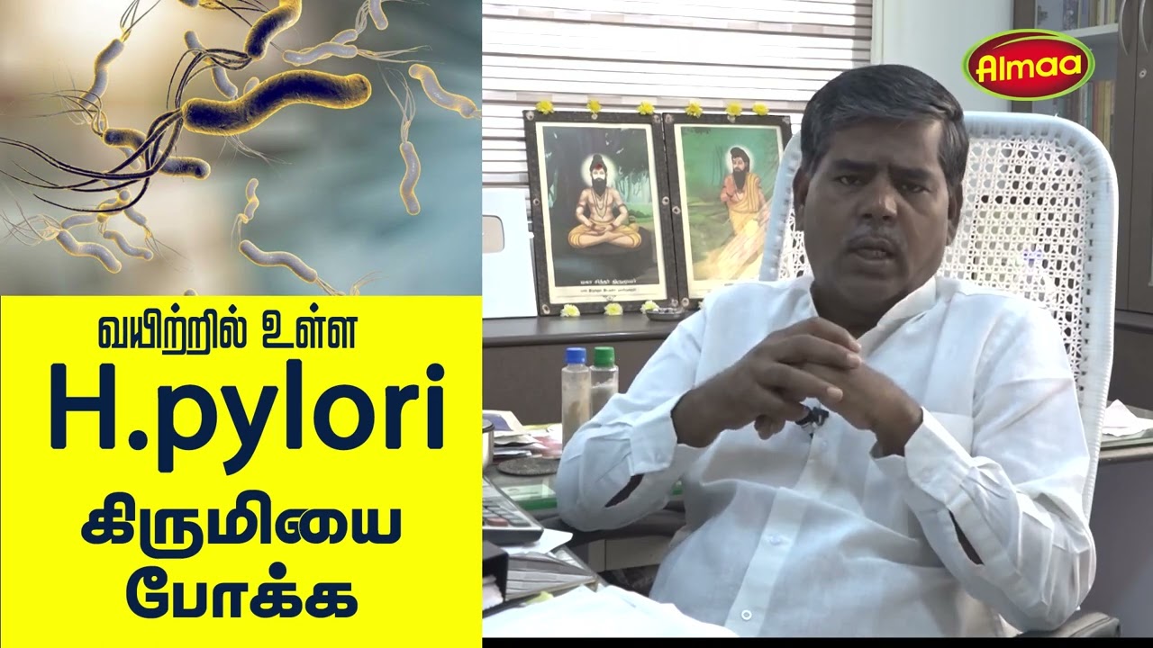 வயிற்றில் உள்ள H Pylori கிருமியை போக்க | H Pylori Infection foods to Eat #almaavelayudham