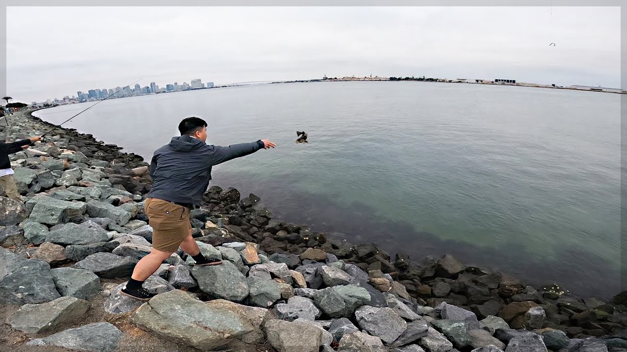 Teaching My Friend How to Fish! -- SPOTTED BAY BASS, BONITO & HALIBUT in San Diego Bay
