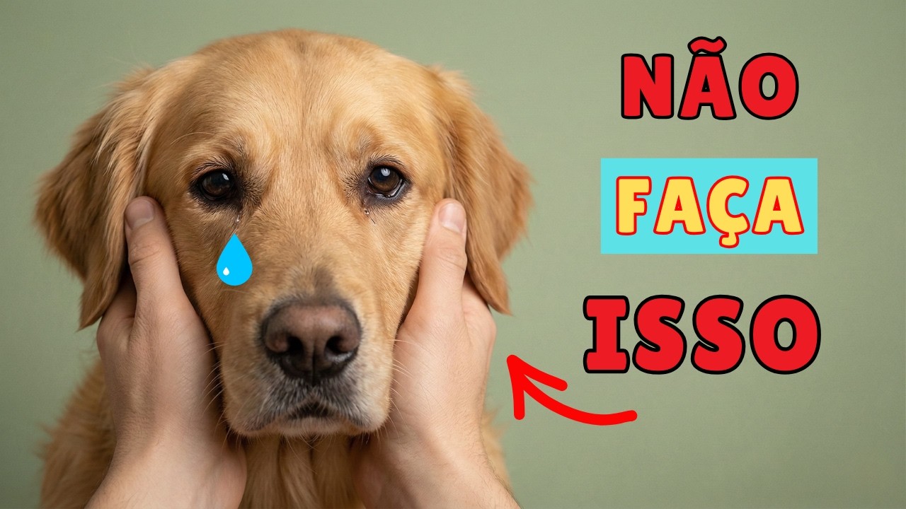 9 Hábitos Comuns Dos Donos Que Lentamente PREJUDICAM A Saúde Emocional De Um Cão