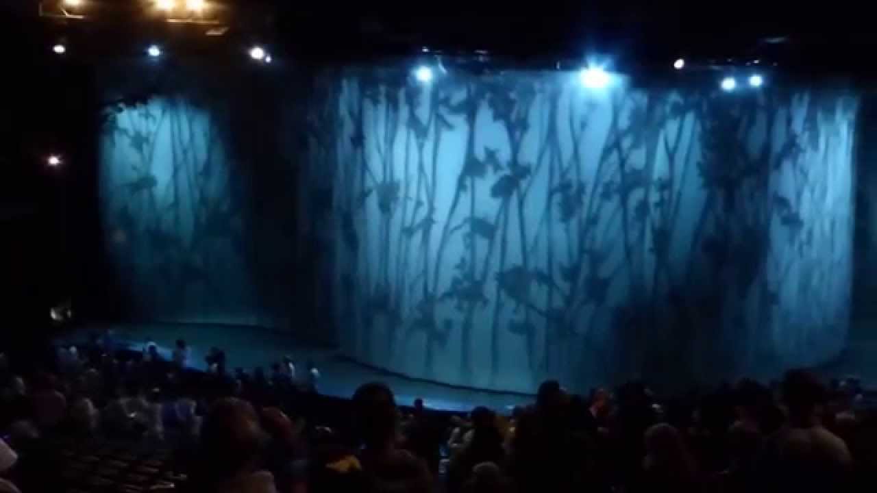 Cavalia 