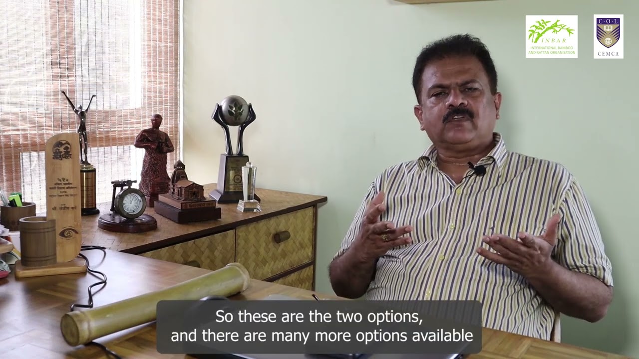 5  Methods of bamboo treatment and its importance |  Bengali