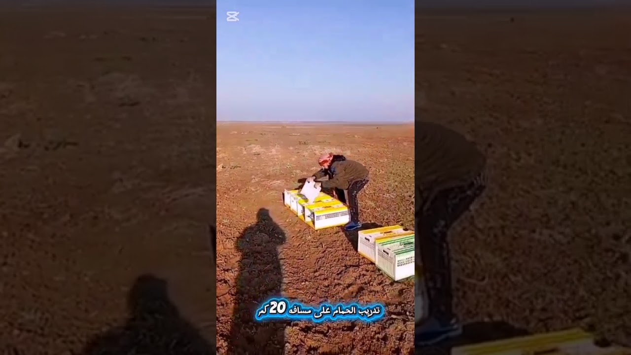 ٢٢ ديسمبر ٢٠٢٥
