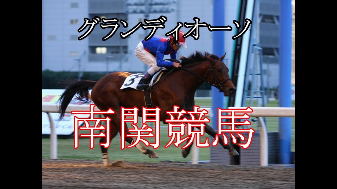 ＜競馬予想＞スターライトカップ競走　グランディオーソ　2014　大井競馬