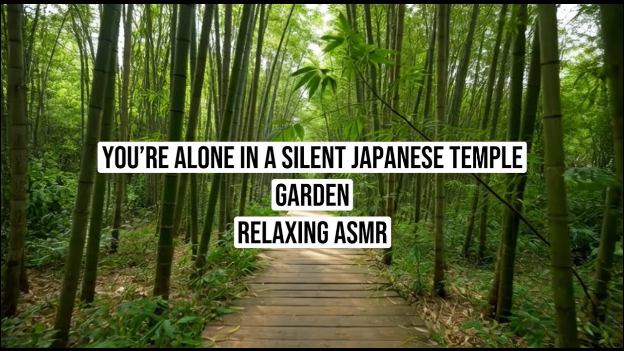 You’re Alone in a Silent Japanese Temple Garden 🌿✨ Relaxing ASMR