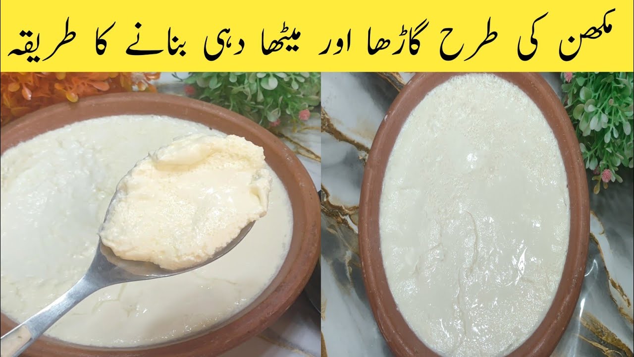 Dahi jamane ka trika by cook with husband II dahi jamane ka trika II dahi recipe II 