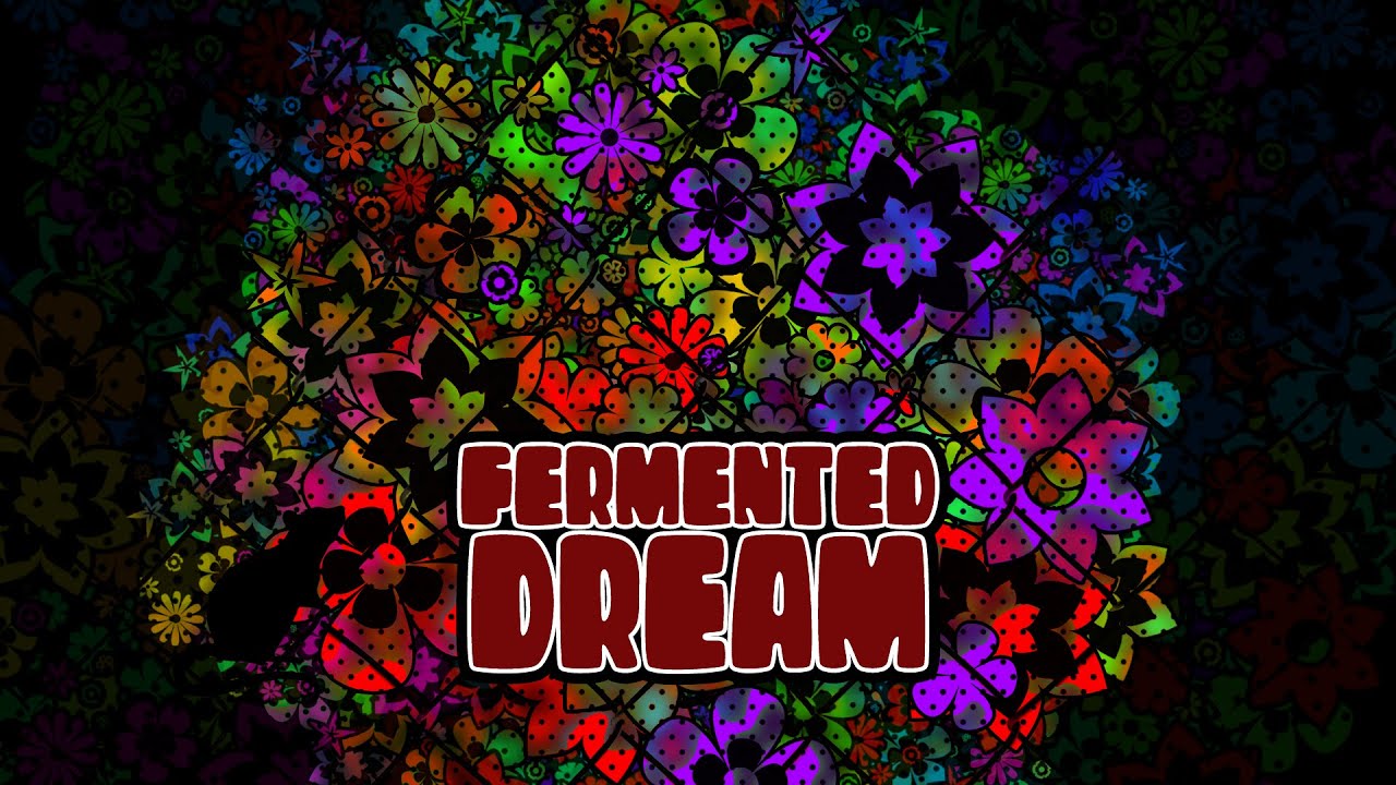a_hisa - Fermented Dream