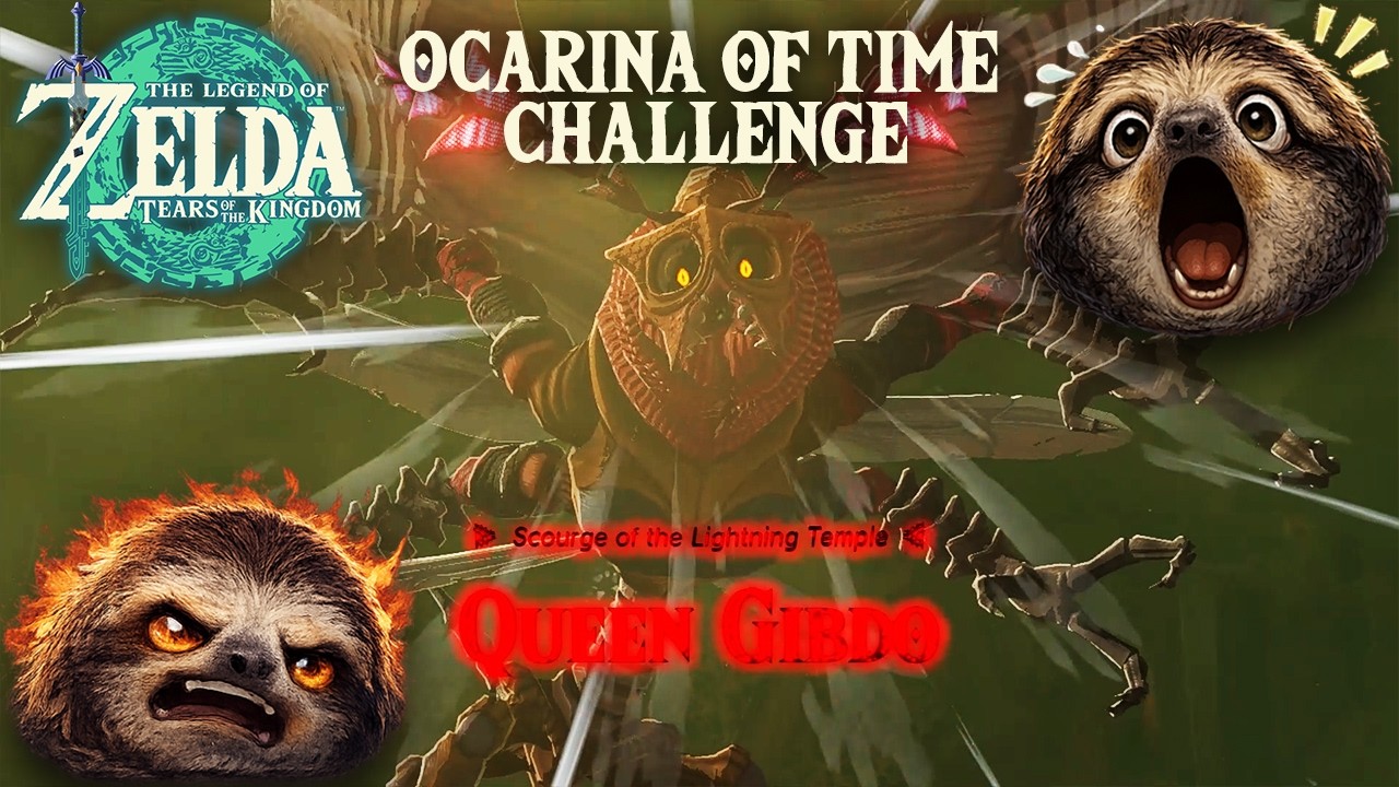 GET THE FLY SWATTER GAIGE - Zelda Tears of the Kingdom: Ocarina of Time Challenge