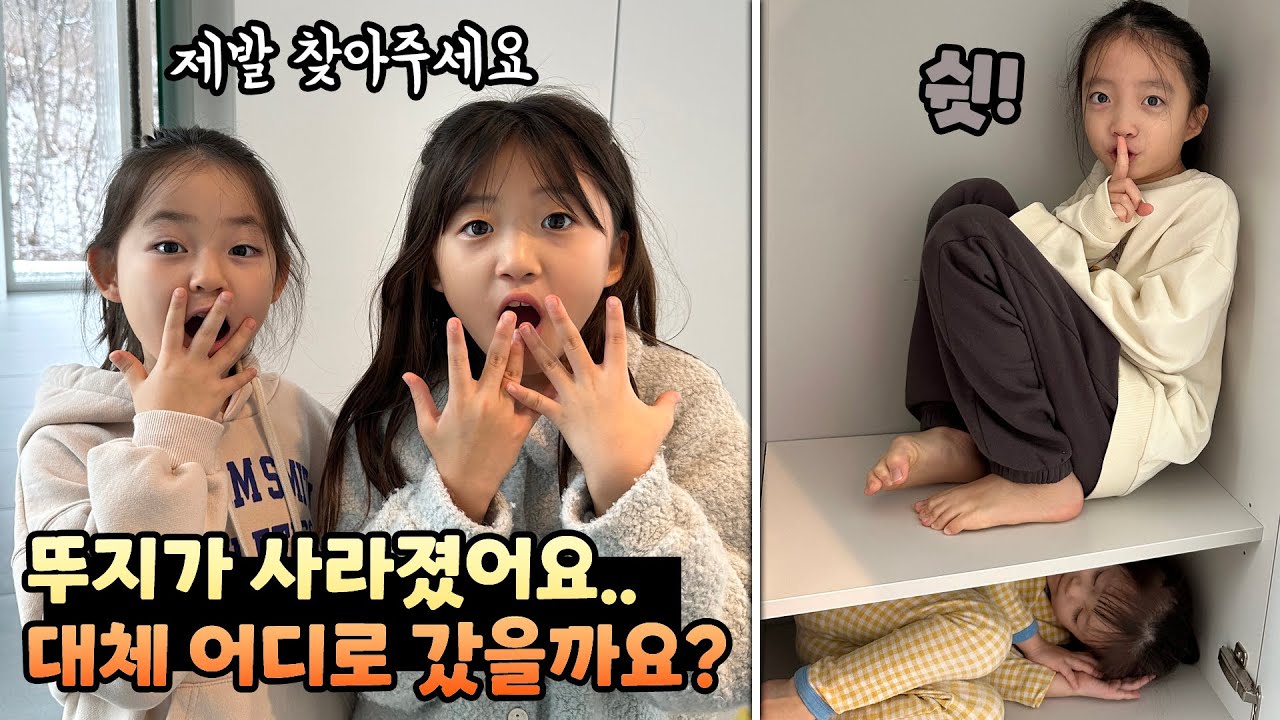 뚜아뚜지 가족과 여행와서 놀다가 뚜지가 사라졌어요...도대체 어디로..?
