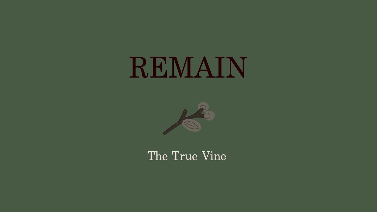 Sunday 7th September 2025 The True Vine (REMAIN Teaching Series) Ruth Morrow