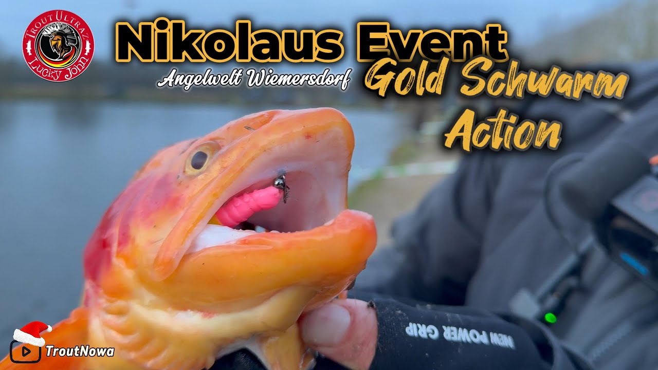 Goldforellen Eskalation XXL - Nikolaus Event in der Angelwelt Wiemersdorf - Spoonfishing -Troutarea