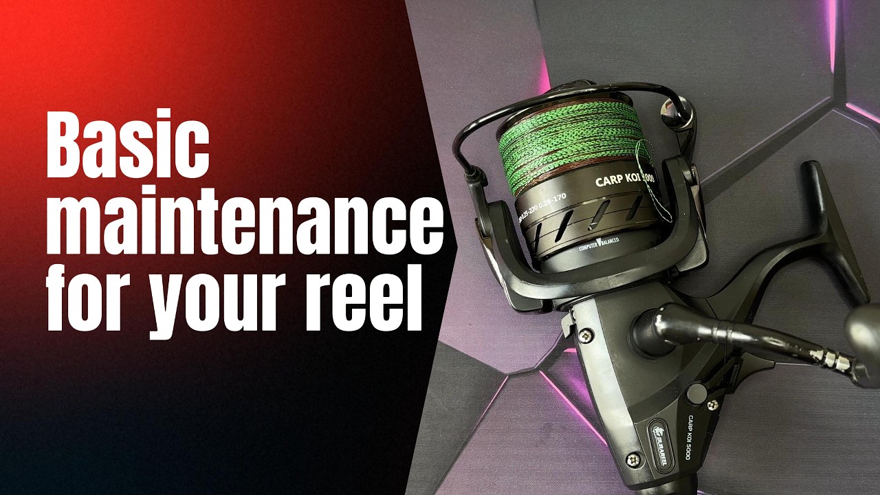 [HOW TO] Prepare your reel for the fishing season #flatfeeder #carpfishing #fishing