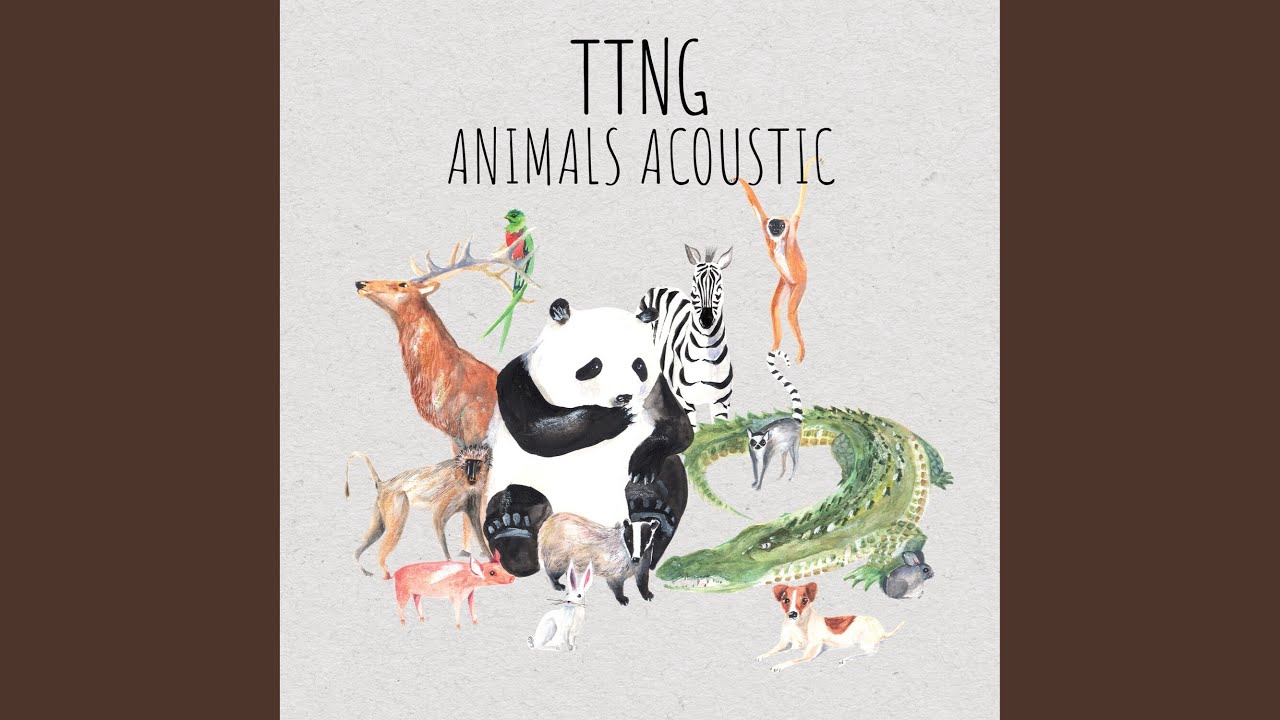 Rabbit (Acoustic)