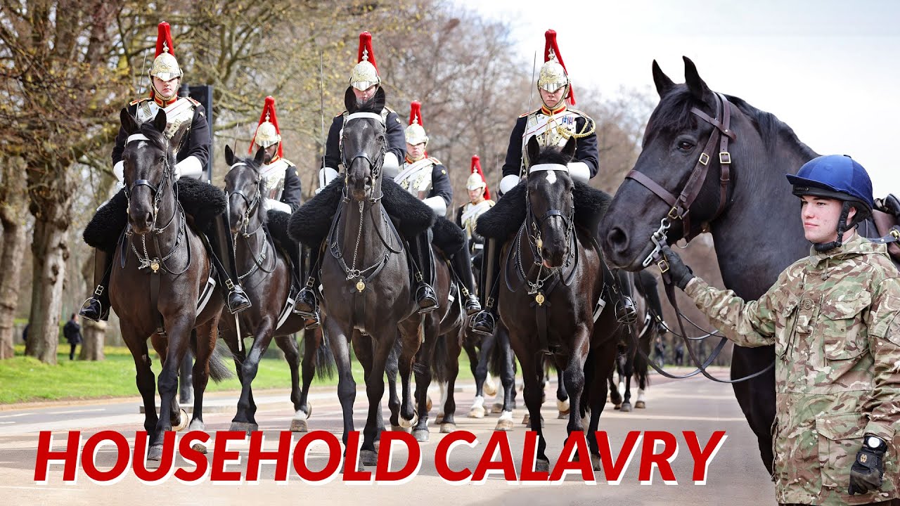 Seltene Einblicke 🤩 SO leben Militärpferde! Hinter den Kulissen der berühmten Household Cavalry 🐴