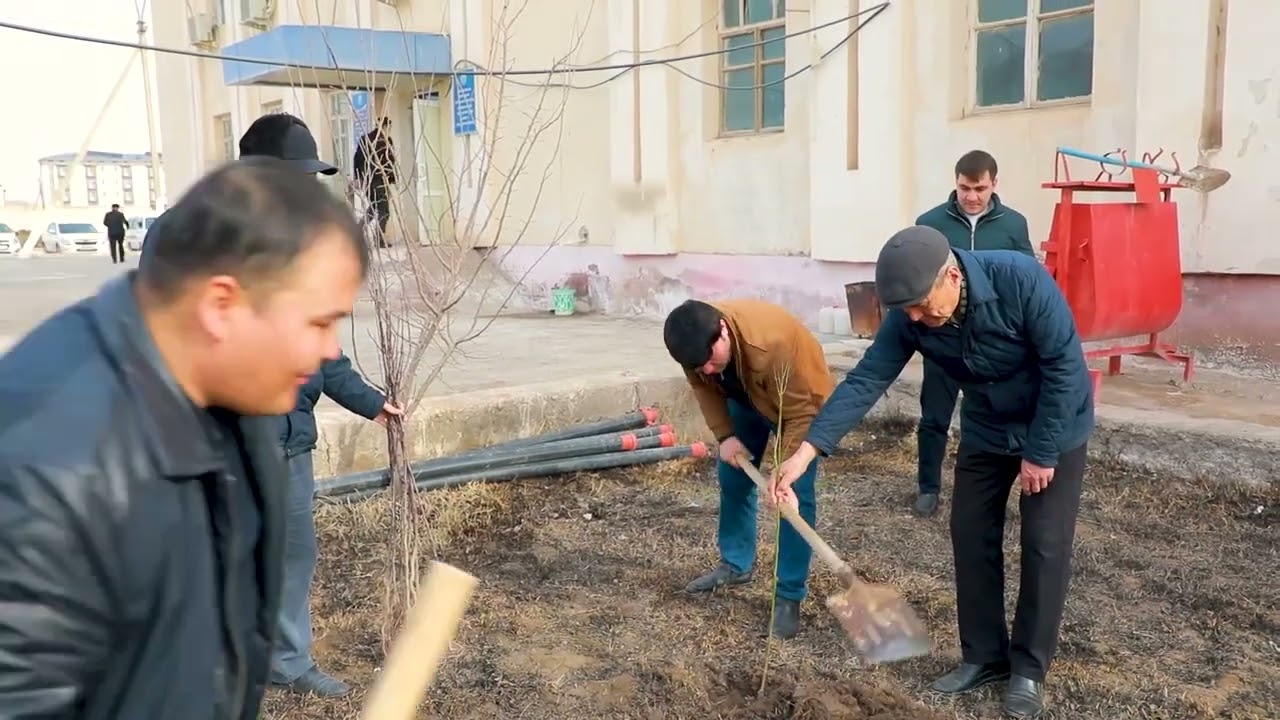 Юрт ободлиги, аввало, маҳалладан бошланади