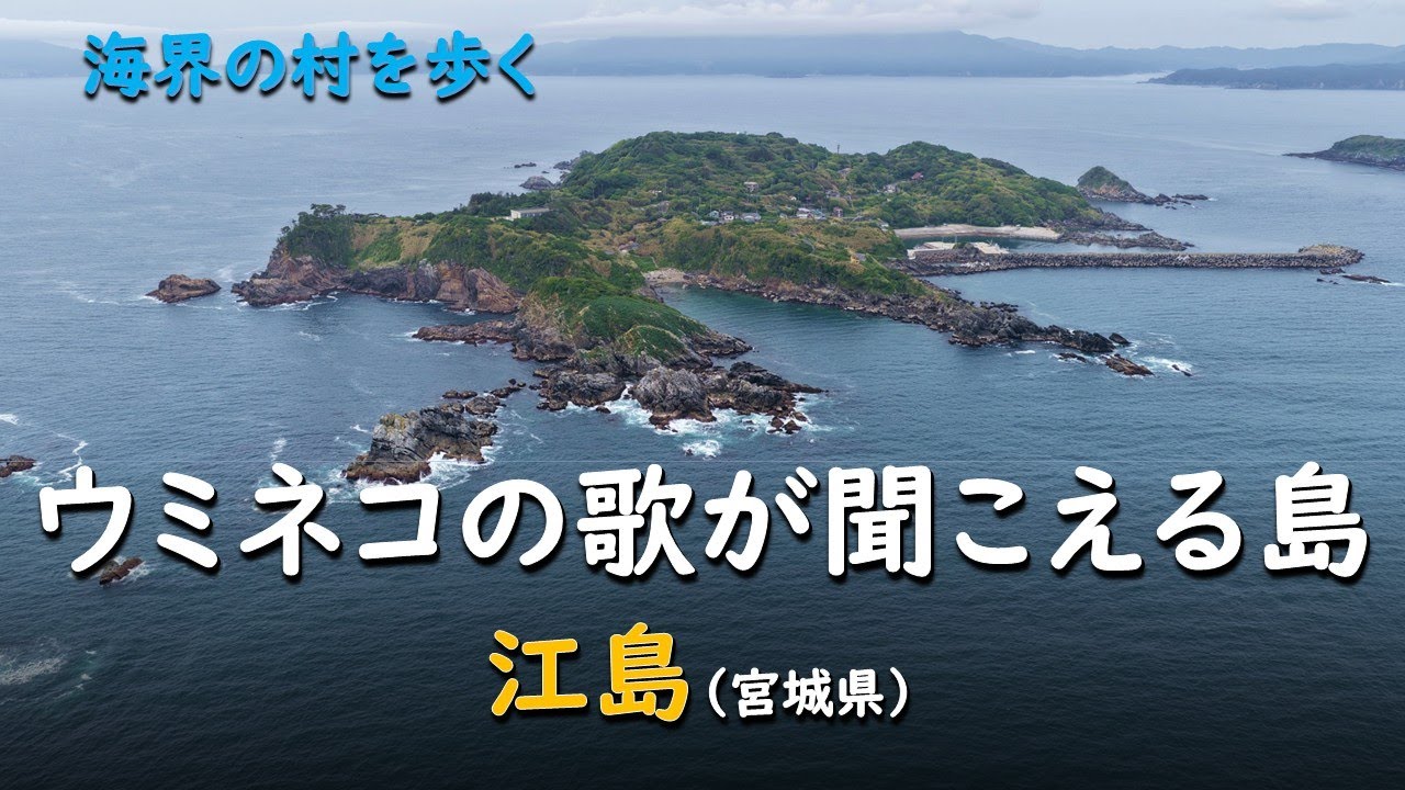 ウミネコの歌が聞こえる島／海界 江島（宮城県）