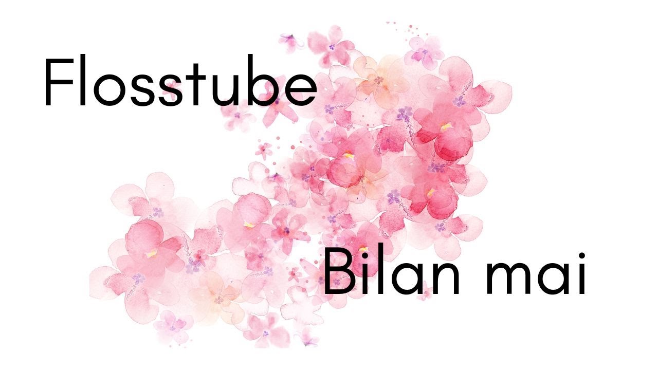 Flosstube #4 - Bilan mai 2024 #crossstitch #point de croix #stitchmaynia