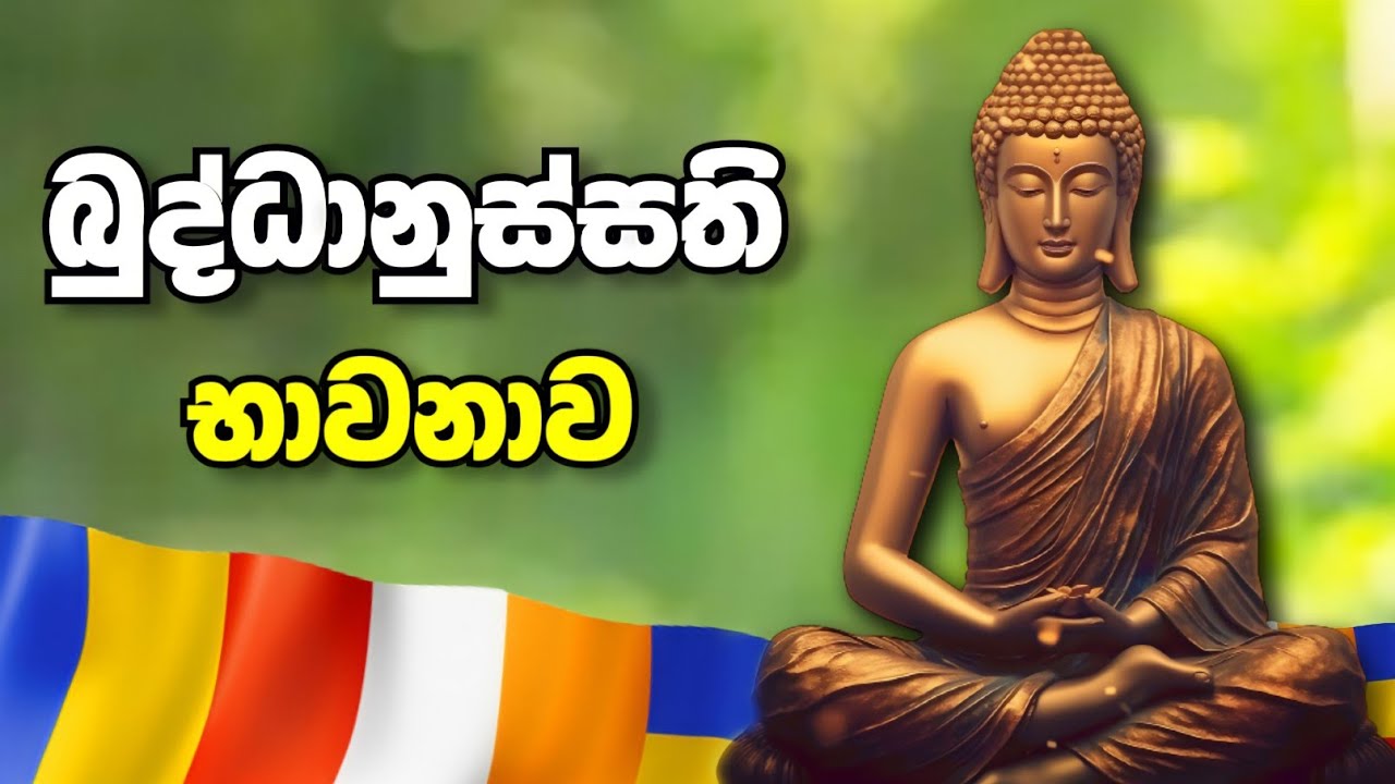 බුද්ධානුස්සති භාවනාව - Buddhanussathi Bhawanawa | Maha Karunika Wu  | Sadaham Thilina