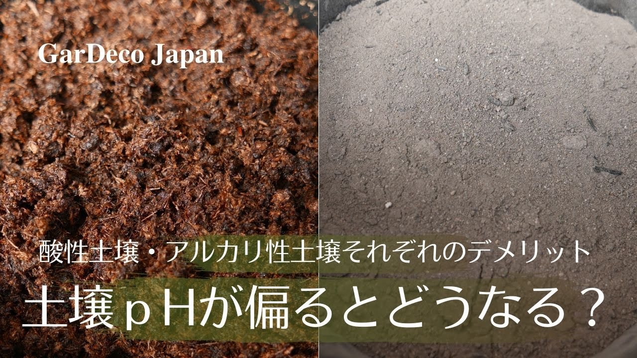 【酸性土壌】土壌ｐHが偏るとどうなる？【アルカリ性土壌】