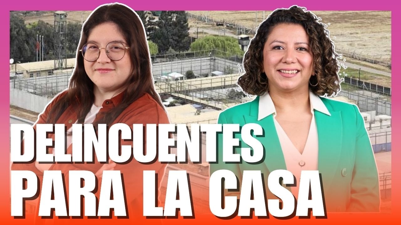 DELINCUENTES PA LA CASA | Todo Vale!