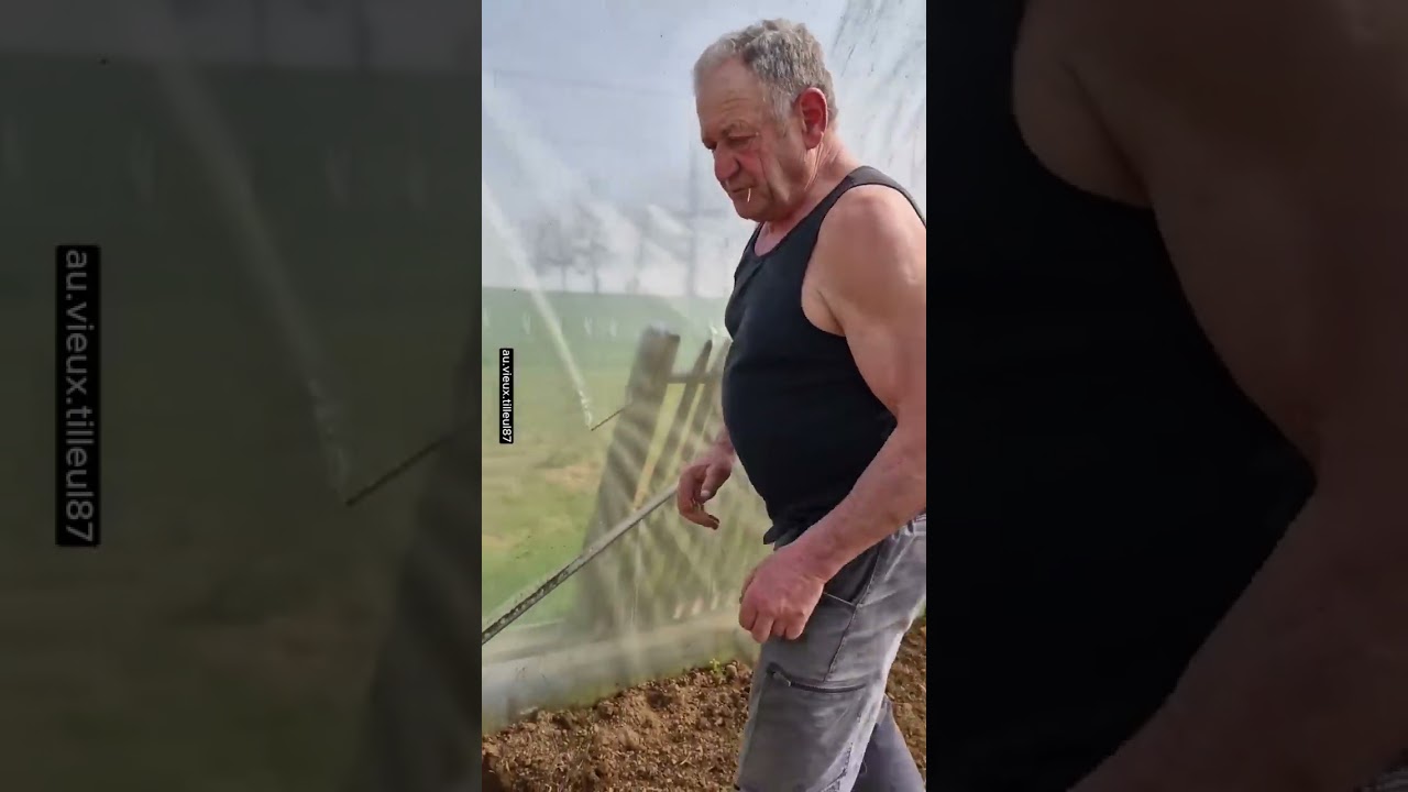 Jean Louis prépare la serre à tomates