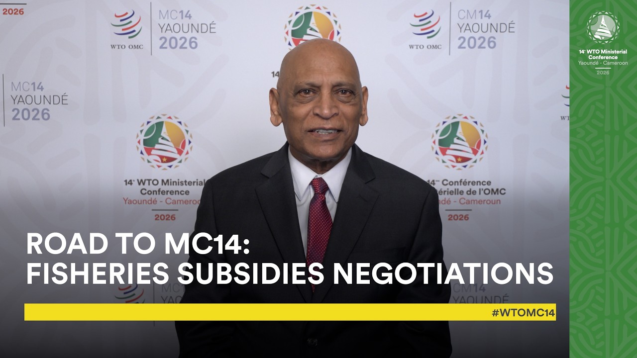 Road to MC14: fisheries subsidies negotiations