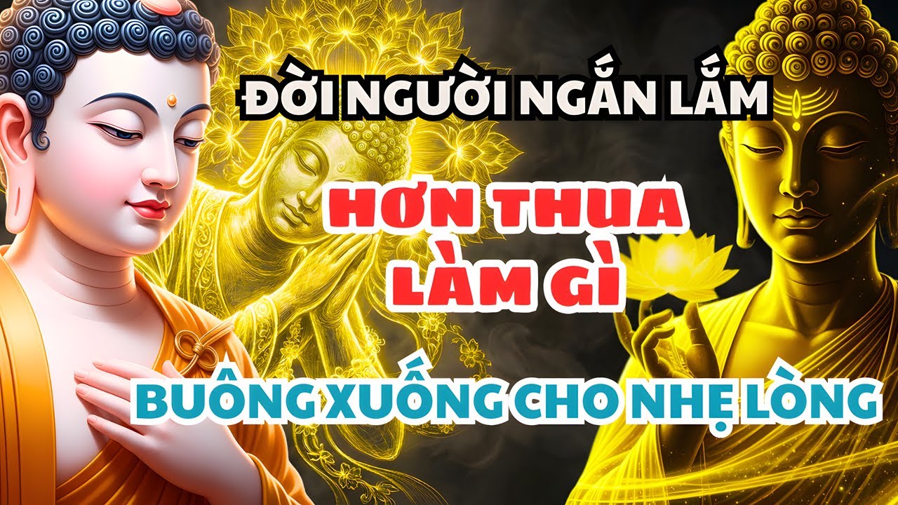 Phật Dạy: Đời Người Ngắn Lắm, Đừng Hơn Thua Toan Tính - Nghe Xong Tự Nhiên Nhẹ Lòng