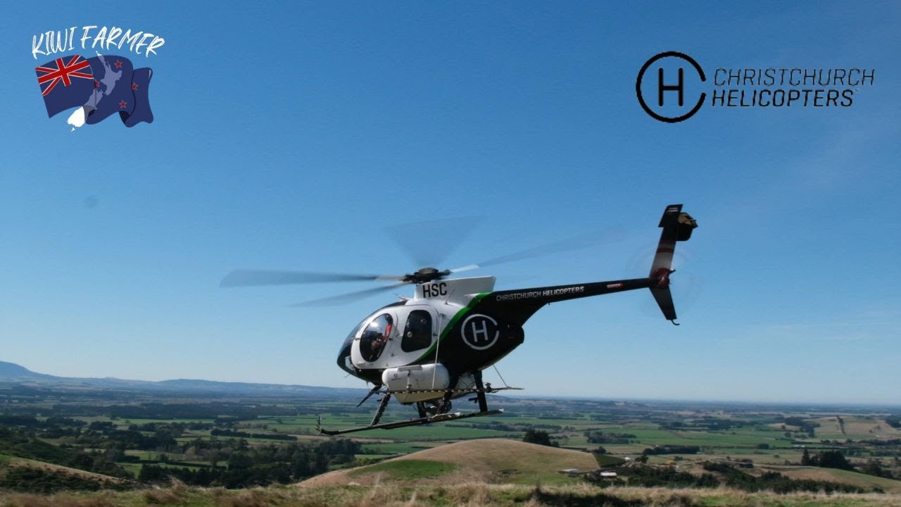 Время опрыскивания | Утесник и сосны | MD500