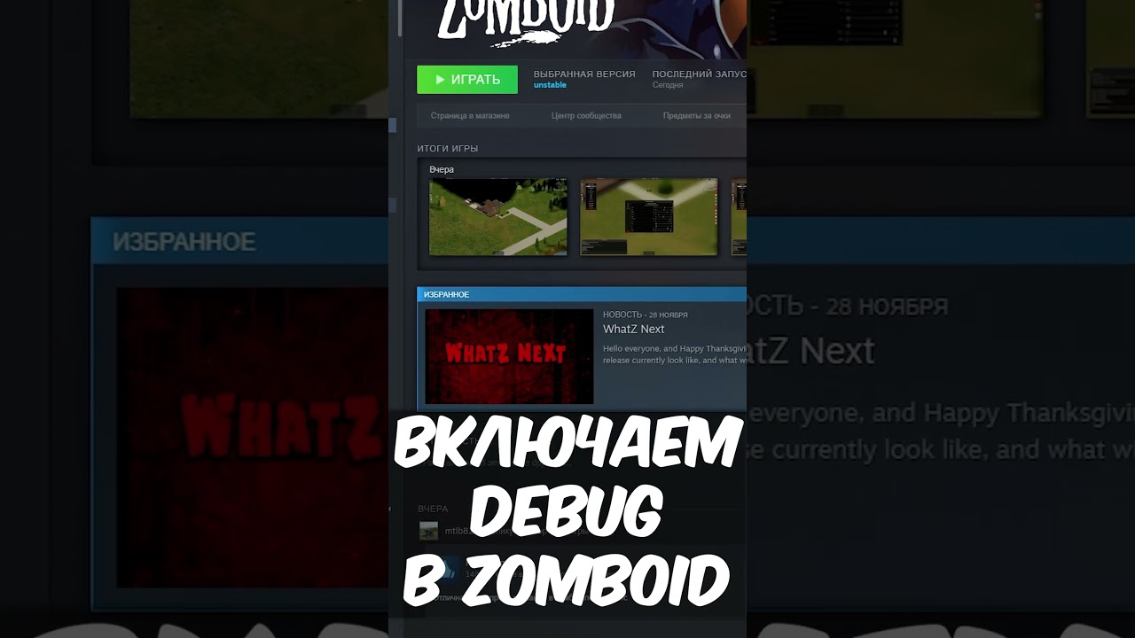 Включаем режим разработчика в Project Zomboid. #projectzomboid #pz