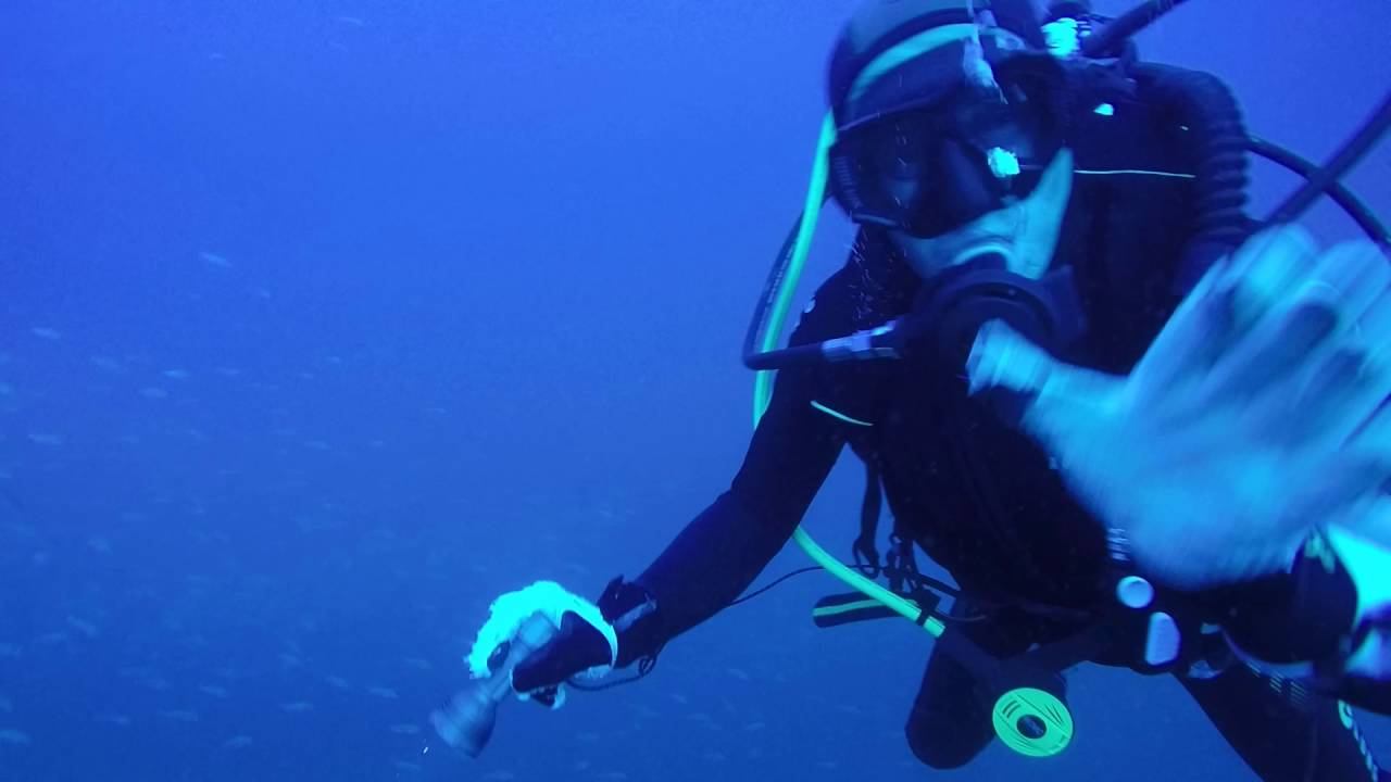 2016 La Draga -  Aguadulce (Roquetas de Mar)