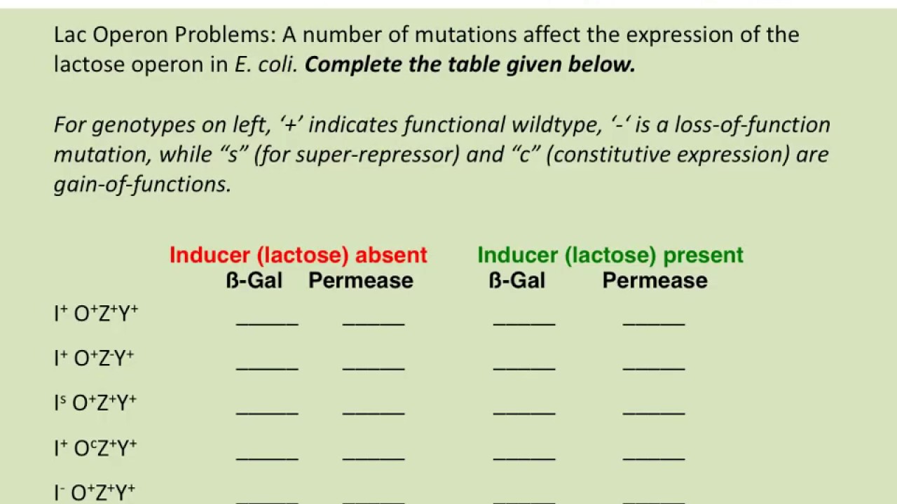 BIOL183: Solving Lac operon problems
