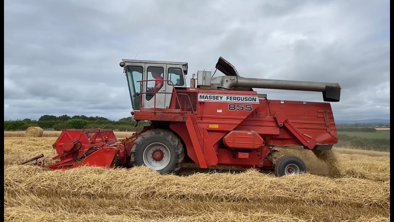 Cumbrian Harvest 2022. Classic Canadian Massey 855 combining winter barley.