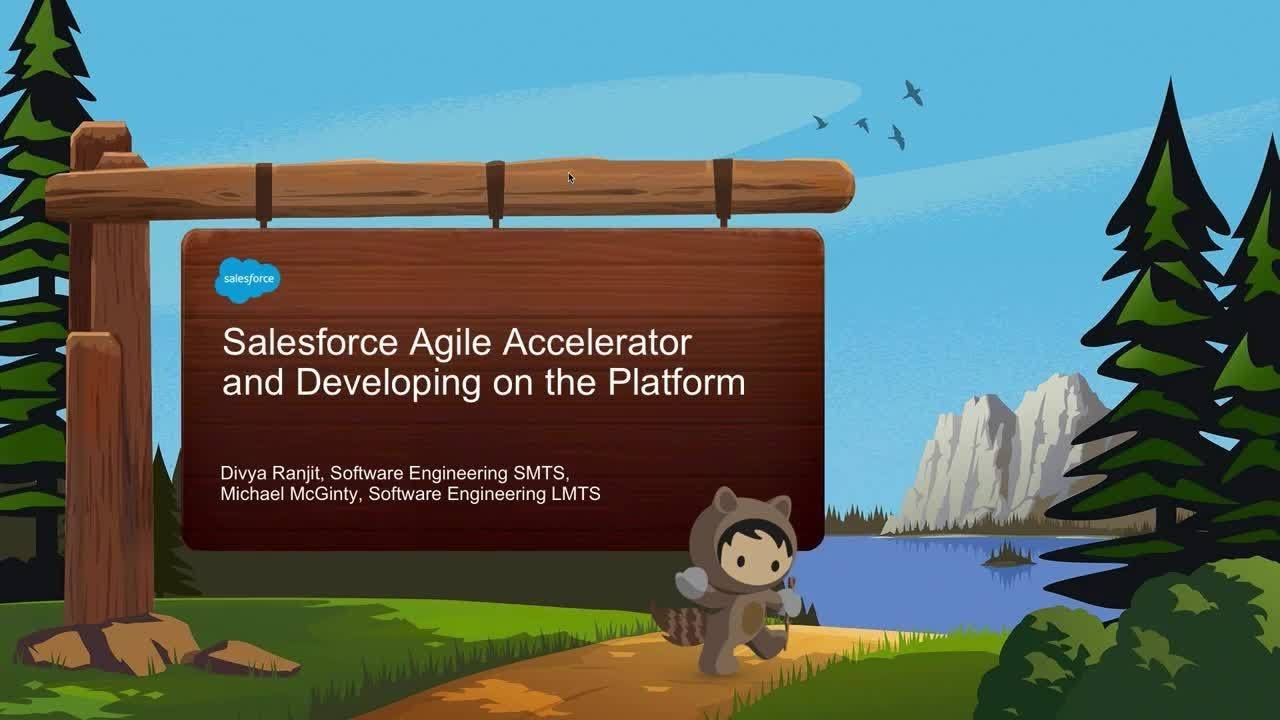 Salesforce Agile Accelerator and Developing on the Platform