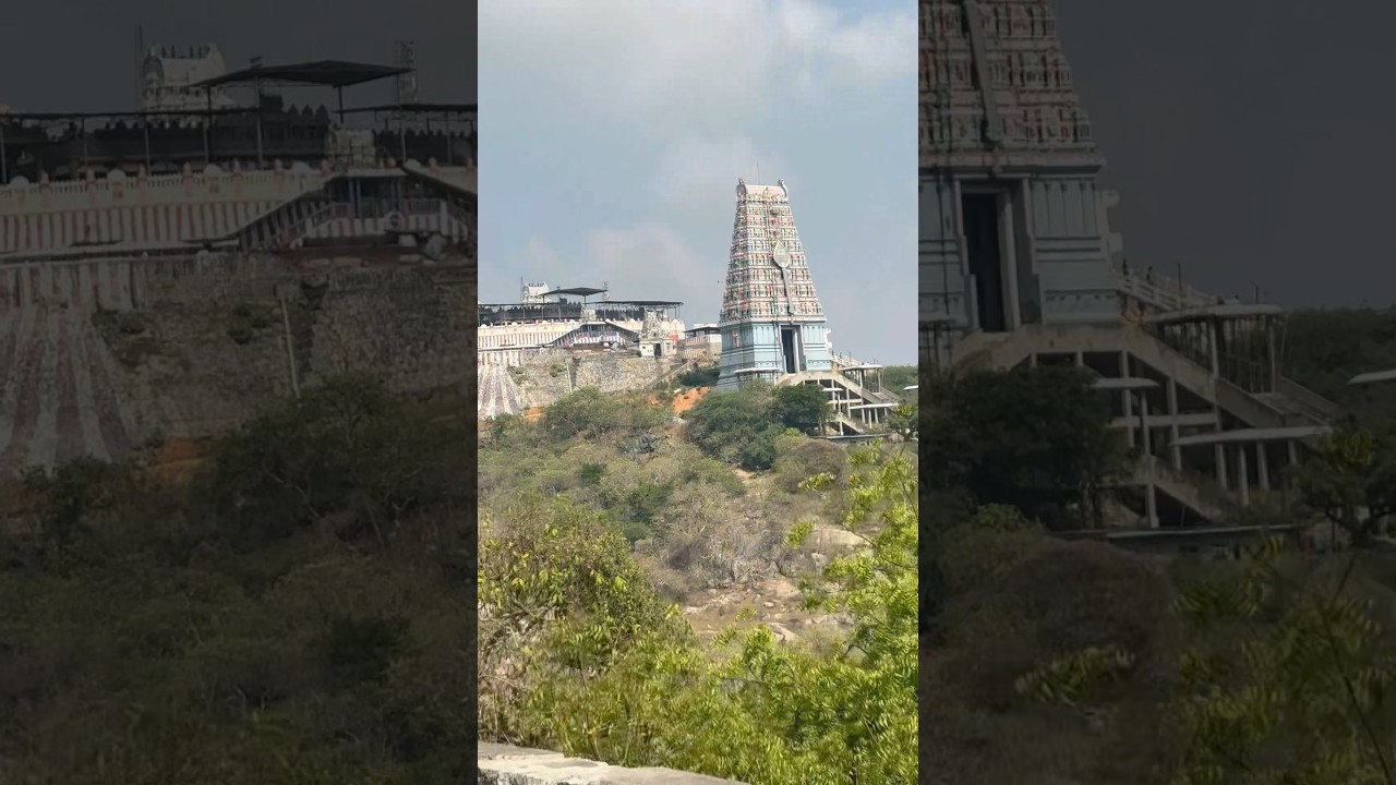 Tiruttani Murugan Temple &ndash; 365 Steps to Divine Peace 🔱✨ #shorts