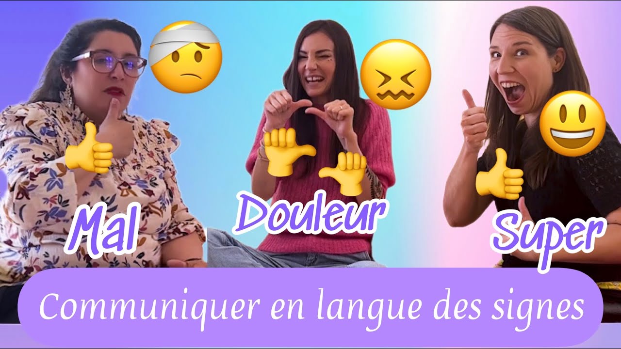 Communiquer en Langue Des Signes, un outils pour les consultations médicales.