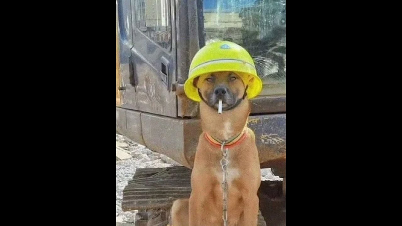 🔴Live | Pro gamer gameplay | narkoteris | zenx