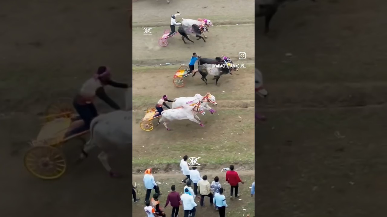 Mathur Vs Bakasur Semi 2 Pedgaon Hindkesari #mathur #mathurvsbakasur #bakasur #shorts