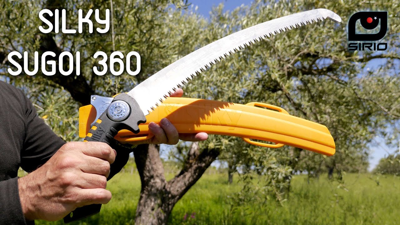 Why I don't need a chainsaw to prune anymore