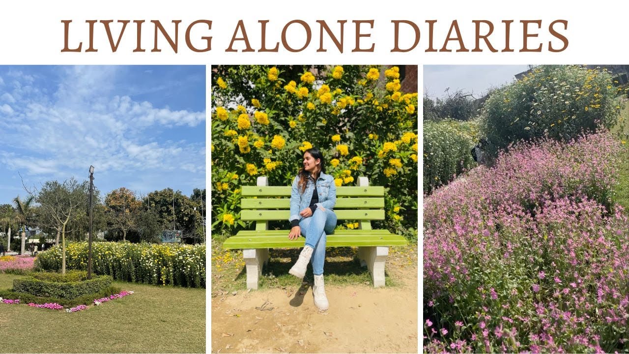 Spend a day with 3rd year B.Tech CSE LPU student | Living alone Diaries | Spring in LPU