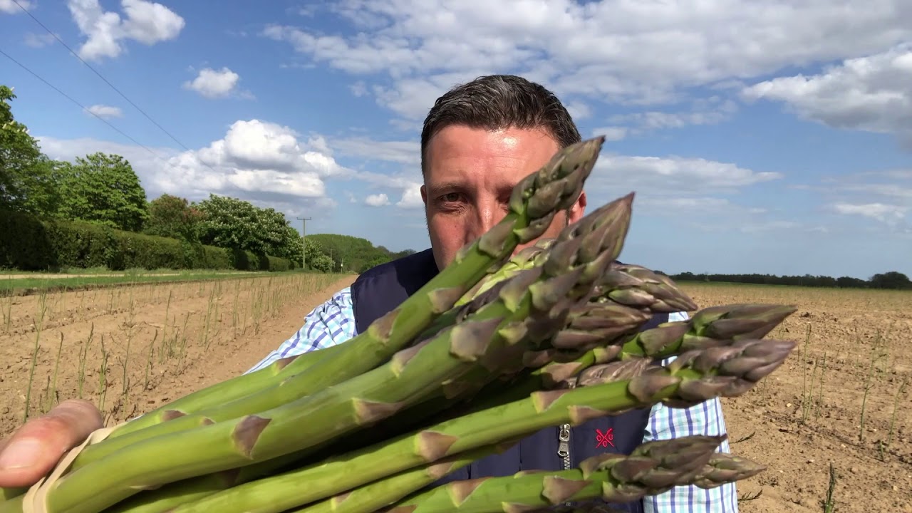 Guelph Equinox Asparagus 2018