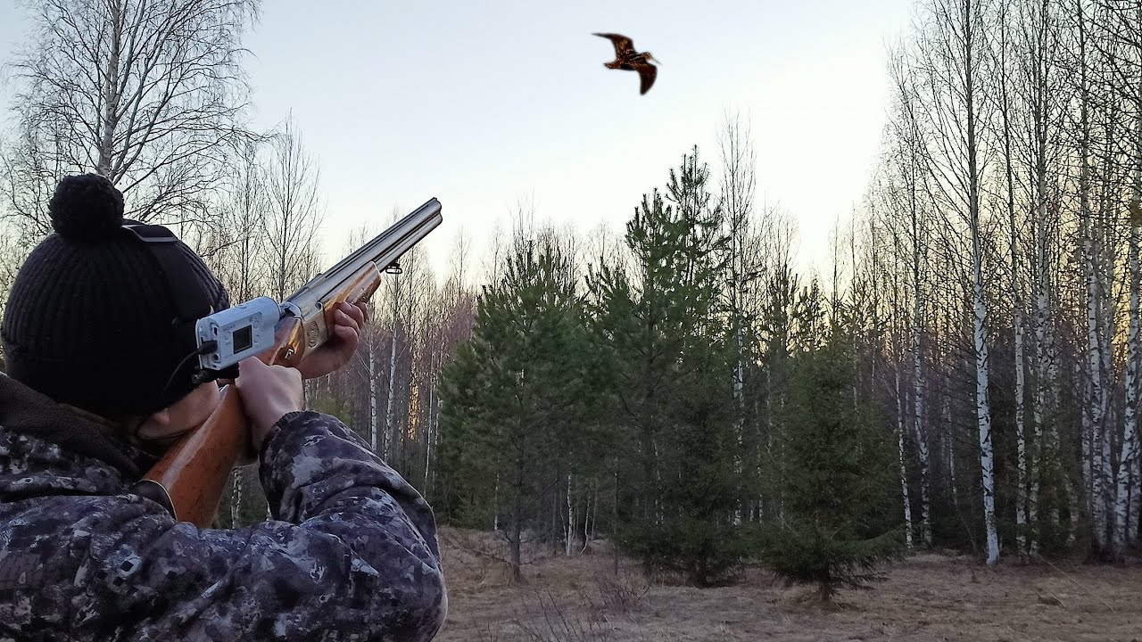 ВАЛЬДШНЕПА МНОГО!!! ЛЕТЯТ СО ВСЕХ СТОРОН! Весенняя охота на тяге!